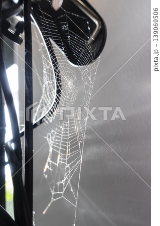 Spider web illuminated by sun rays from window Spider web illuminated by sun rays from window 139069506