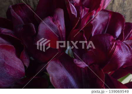 Colorful tulip petals creating abstract flower background Colorful tulip petals creating abstract flower background 139069549