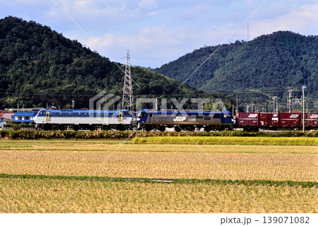 2007年　山陽本線を走るEF66101コンテナ貨物列車 139071082