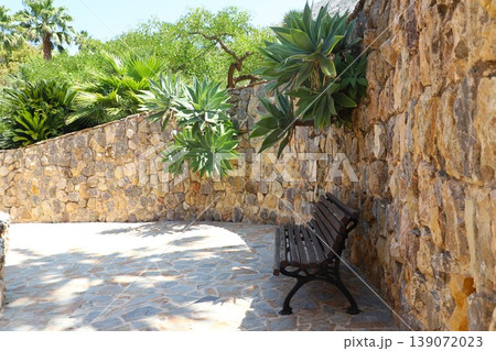 Stone wall garden corner with wooden bench surrounded by lush greenery and tropical plants in a sunny outdoor setting Stone wall garden corner with wooden bench surrounded by lush greenery and tropical plants in a sunny outdoor setting 139072023