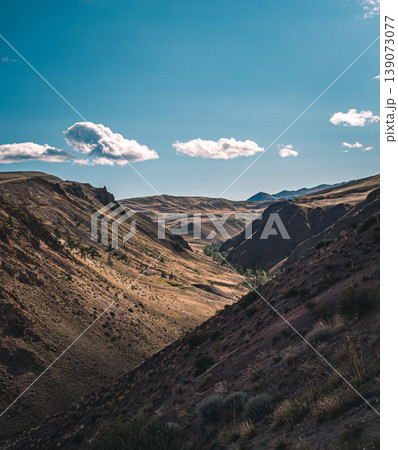 Sunlit valley expanse in the Altai Mountains with rugged slopes and a clear blue sky dotted with white clouds 139073077