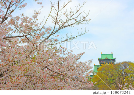 大阪府大阪市、桜と大阪城の風景 大阪府大阪市、桜と大阪城の風景 139073242