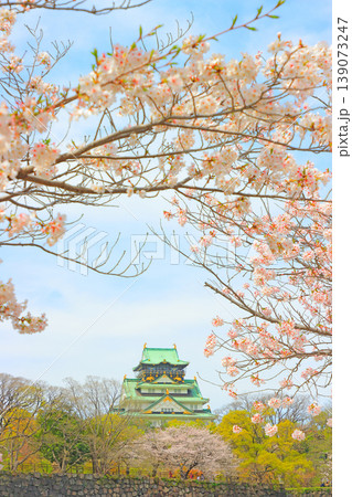 大阪府大阪市、桜と大阪城の風景 大阪府大阪市、桜と大阪城の風景 139073247