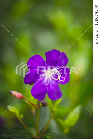 台湾 台北 台北市 139074640