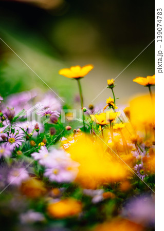 台湾 台北 台北市 139074783