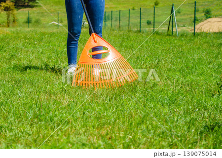 Person raking green lawn 139075014