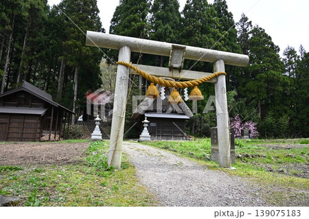 春の神明社鳥居 富山 春の神明社鳥居 富山 139075183