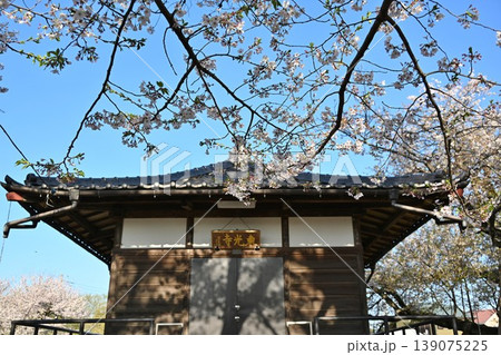 春の朝の東光寺 埼玉 春の朝の東光寺 埼玉 139075225