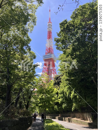 東京タワーと新緑の遊歩道 初夏の青空と緑のトンネル 東京タワーと新緑の遊歩道 初夏の青空と緑のトンネル 139075303
