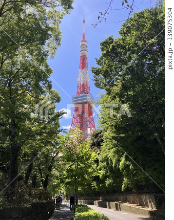葉の隙間から覗く東京タワー ローアングルの躍動感 葉の隙間から覗く東京タワー ローアングルの躍動感 139075304