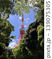 木漏れ日と東京タワー　緑のトンネルから望む夏空 139075305