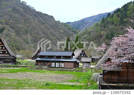 五箇山の合掌造り集落 富山 五箇山の合掌造り集落 富山 139075592