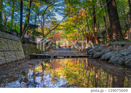 森町の遠江国一宮小國神社の紅葉の風景(静岡県) 森町の遠江国一宮小國神社の紅葉の風景(静岡県) 139075609