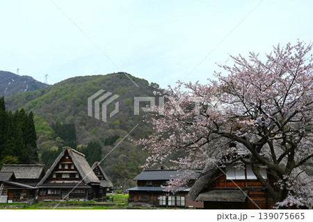 五箇山の合掌造り集落 富山 五箇山の合掌造り集落 富山 139075665