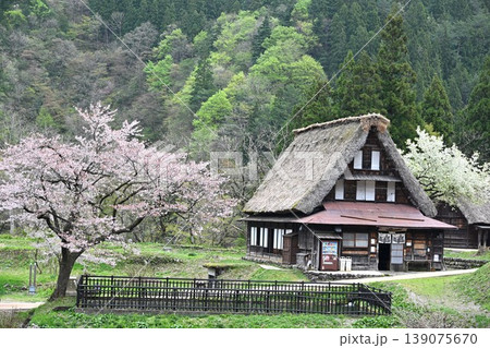 五箇山の合掌造り集落 富山 五箇山の合掌造り集落 富山 139075670