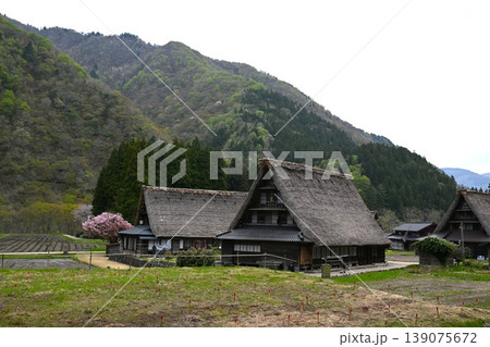 五箇山の合掌造り集落 富山 五箇山の合掌造り集落 富山 139075672