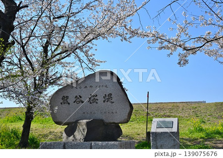 春の熊谷桜堤　埼玉 139075676