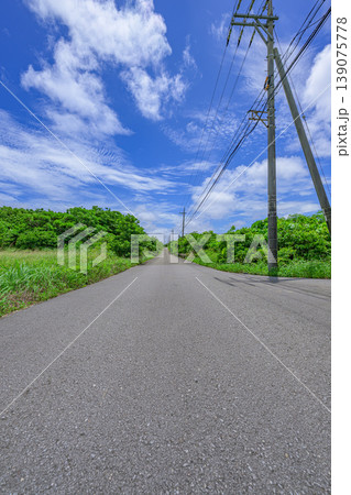 青空と緑の一本道が爽やかに続く石垣島の風景 139075778