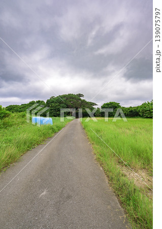 曇り空の下に続く石垣島の静かな一本道の梅雨風景 曇り空の下に続く石垣島の静かな一本道の梅雨風景 139075797