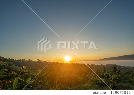 Vibrant Sunrise Over a Tranquil Valley Wrapped in Morning Fog Vibrant Sunrise Over a Tranquil Valley Wrapped in Morning Fog 139075819