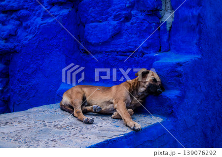 Chefchaouen is a city located in the north Morocco Chefchaouen is a city located in the north Morocco 139076292
