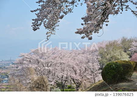 八代ふるさと公園からの景色 山梨 八代ふるさと公園からの景色 山梨 139076825