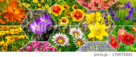 Floral Collage Background with Various Garden Flowers Floral Collage Background with Various Garden Flowers 139076882