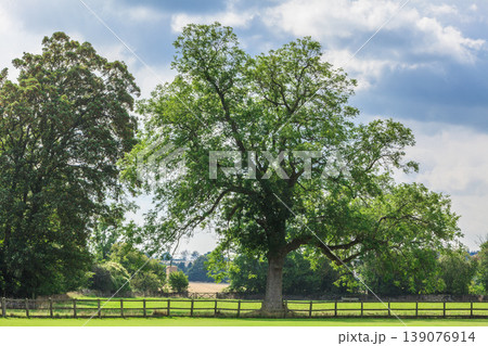 Countryside view of green field. Nature landscape Countryside view of green field. Nature landscape 139076914