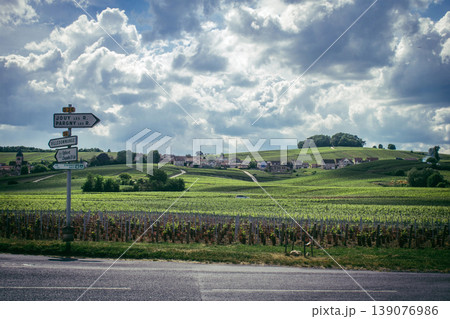 Champagne vineyards, Reims, France 139076986