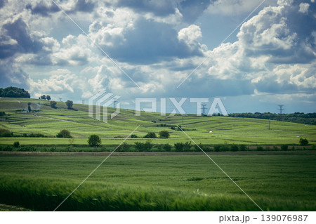 Champagne vineyards, Reims, France 139076987