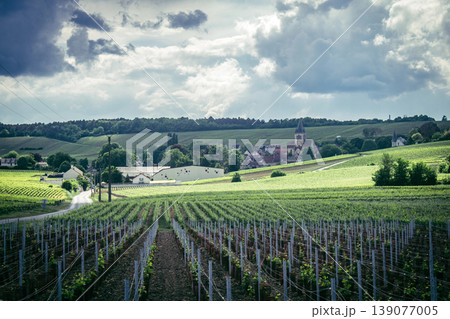 Champagne vineyards, Reims, France Champagne vineyards, Reims, France 139077005
