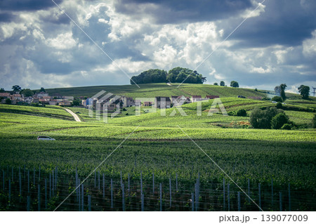 Champagne vineyards, Reims, France Champagne vineyards, Reims, France 139077009