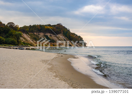 Filinskaya Bay of the Baltic Sea near Svetlogorsk. Kaliningrad region, Russia 139077101