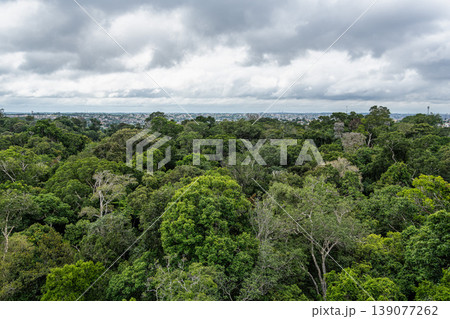 View from the tower of the Musa botanical garden. Manaus, Brazil. Natural beauty, Floresta Amazonica 139077262
