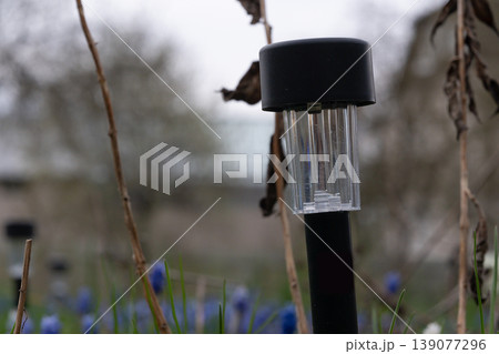 Solar Garden Light Standing Among Blue Flowers and Withered Stems in Backyard Nature Scene Solar Garden Light Standing Among Blue Flowers and Withered Stems in Backyard Nature Scene 139077296