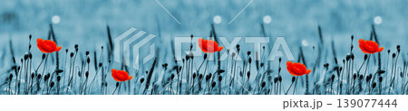 Red poppy flowers scattered across a field with a blue color wash. 139077444