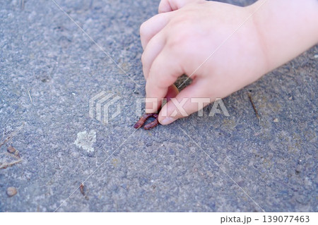 Child's hand touching an earthworm on asphalt, nature exploration 139077463