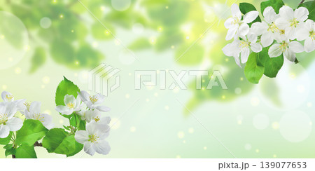 Fresh green spring leaves glowing softly in warm sunlight rays. Fresh green spring leaves glowing softly in warm sunlight rays. 139077653