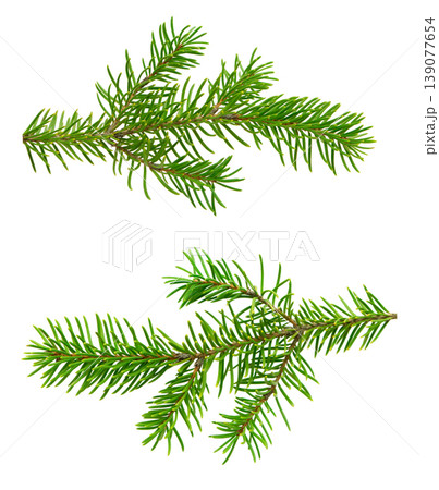 Set of fresh fir tree branches with soft green needles, captured in close-up and isolated on white without shadow for creative use. 139077654