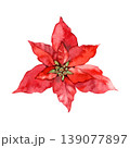 Hand drawn watercolor illustration of a red poinsettia flower, also known as the Christmas Star. This vibrant winter floral element features rich red petals and a green center for holiday designs. 139077897