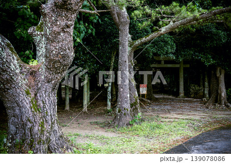 自然と信仰が調和する石垣島の群星御嶽の神聖な風景 139078086