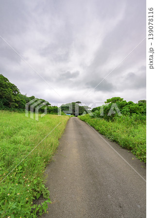 深い緑と湿った空気に包まれた石垣島の梅雨の小道 深い緑と湿った空気に包まれた石垣島の梅雨の小道 139078116