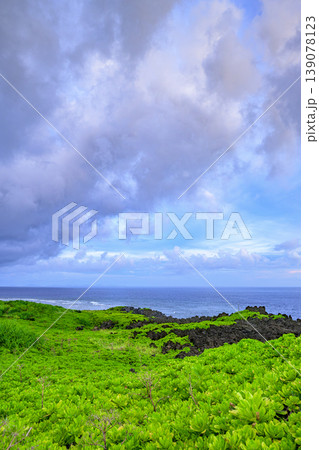 雨雲と海が織りなす辺戸岬の雄大な自然風景 139078123