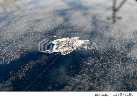A mark is visible on the surface of a car hood. This mark shows where something has struck the paint, likely while driving 139078196
