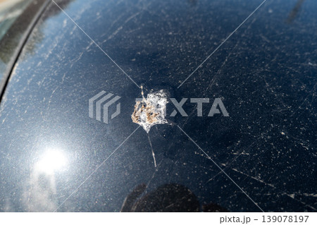 Bird left a piece of food on the surface of a black car parked outside in sunlight Bird left a piece of food on the surface of a black car parked outside in sunlight 139078197