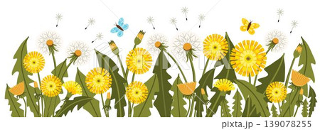 Decorative border with blooming dandelions, leaves and flying seeds. Fresh spring and summer botanical vector design suitable for cards, packaging and textile. 139078255