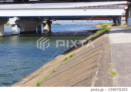 千葉県市川市江戸川河口2026年4月 千葉県市川市江戸川河口2026年4月 139078265