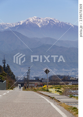 春の雪化粧した仙丈ヶ岳 春の雪化粧した仙丈ヶ岳 139078369