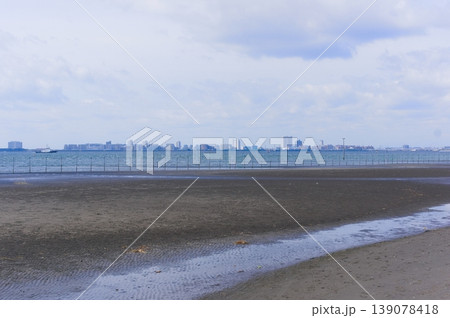 千葉県船橋市三番瀬海浜公園周辺2026年4月 千葉県船橋市三番瀬海浜公園周辺2026年4月 139078418