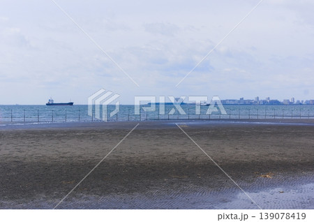 千葉県船橋市三番瀬海浜公園周辺2026年4月 千葉県船橋市三番瀬海浜公園周辺2026年4月 139078419